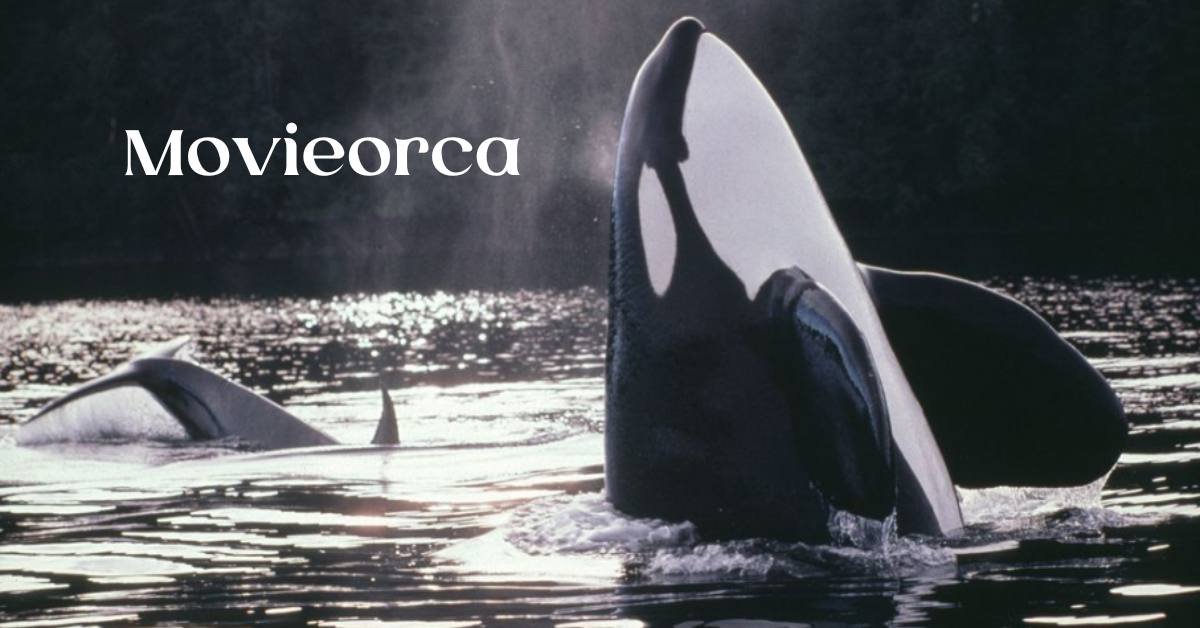 Movieorca