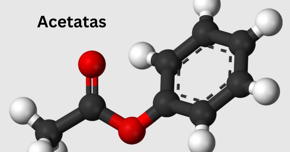 Acetatas